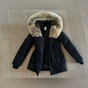 ARITZIA Babaton Harrison Parka